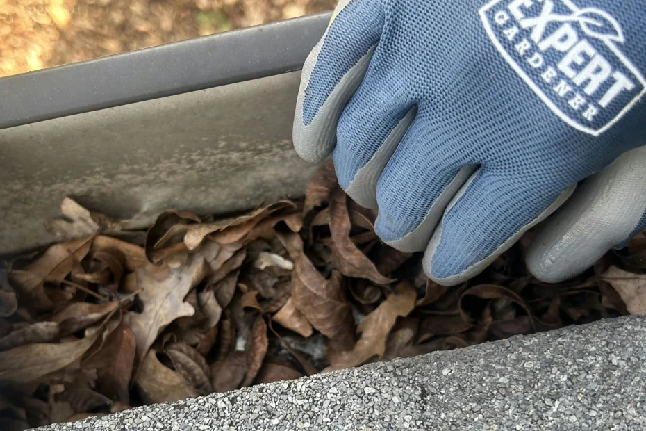 Gutter Cleaning Seffner