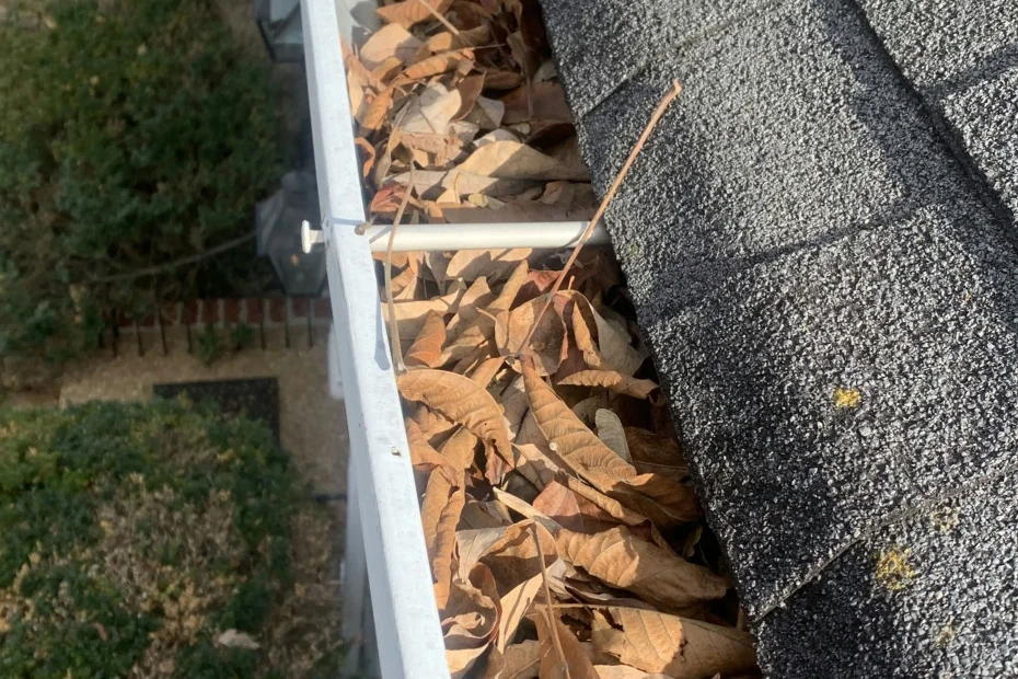 Gutter Cleaning Seffner