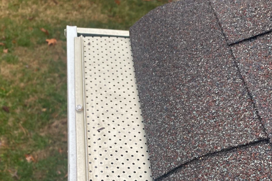 Gutter Cleaning Seffner