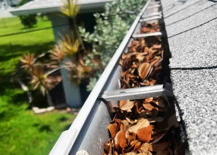 Gutter Cleaning Seffner home page